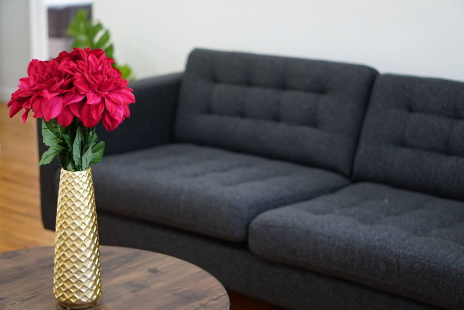 Coral Gables Vacation Rental