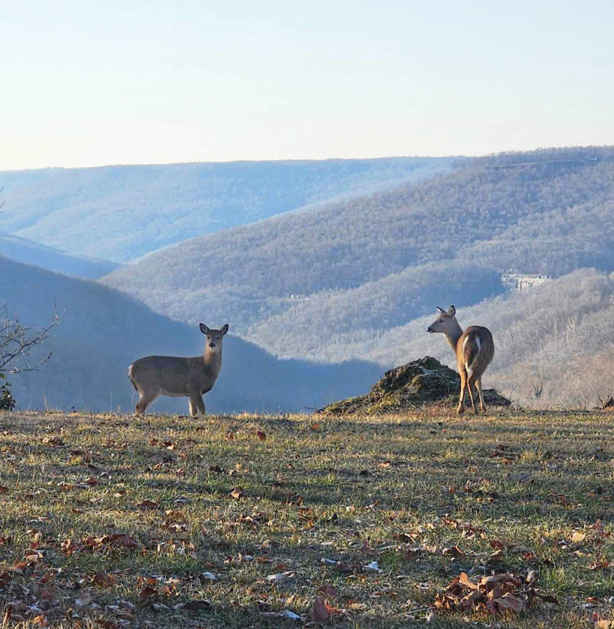 Tracy City Vacation Rental