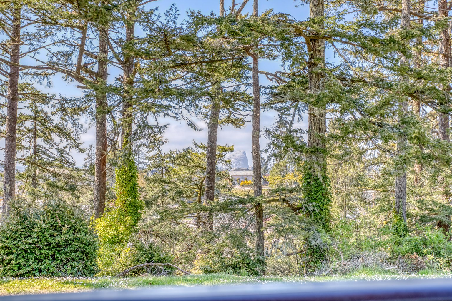 Pacific City Vacation Rental