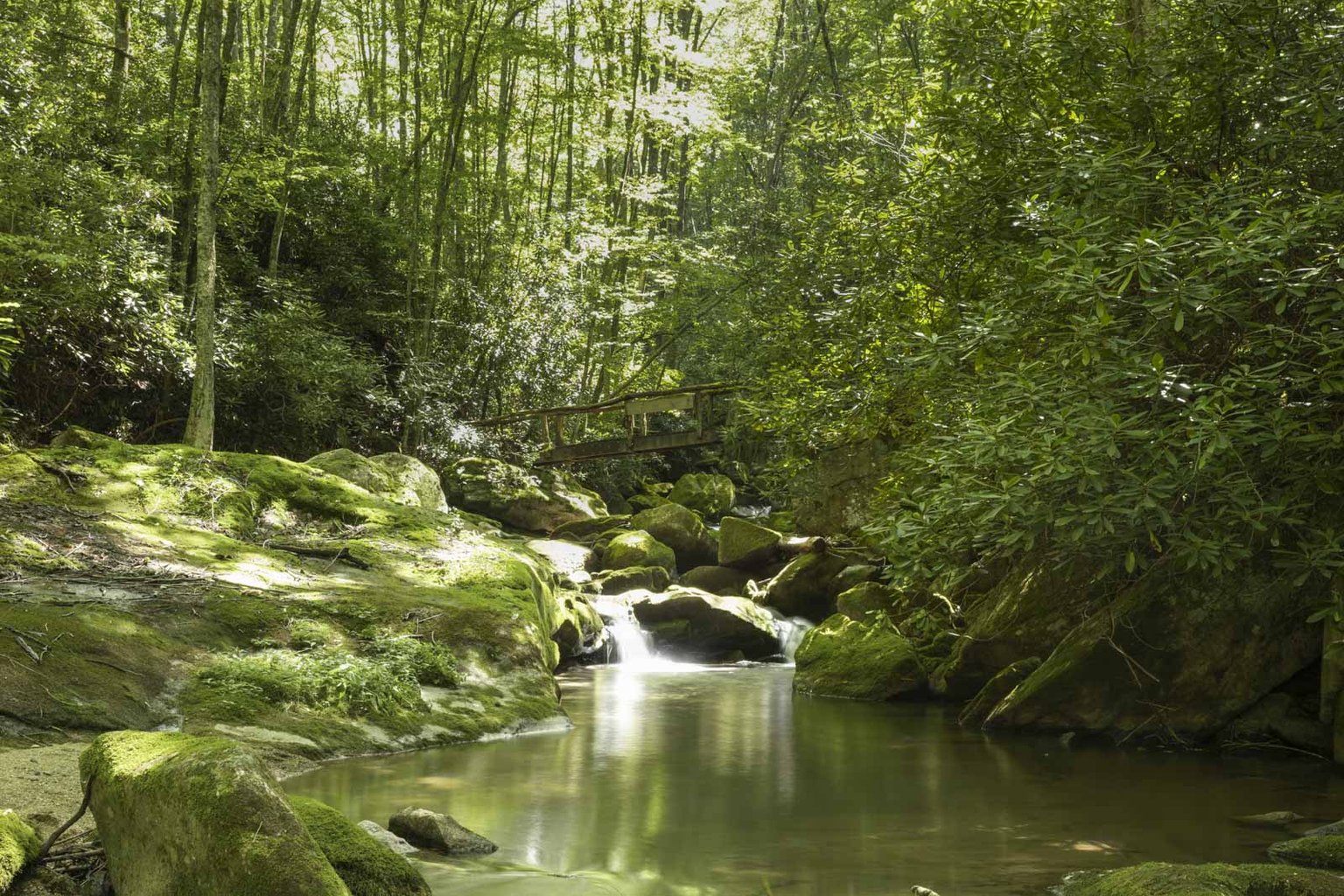 Elk Park Vacation Rental