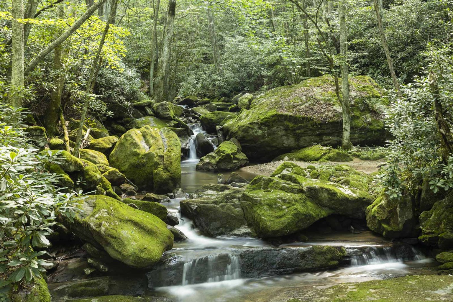 Elk Park Vacation Rental