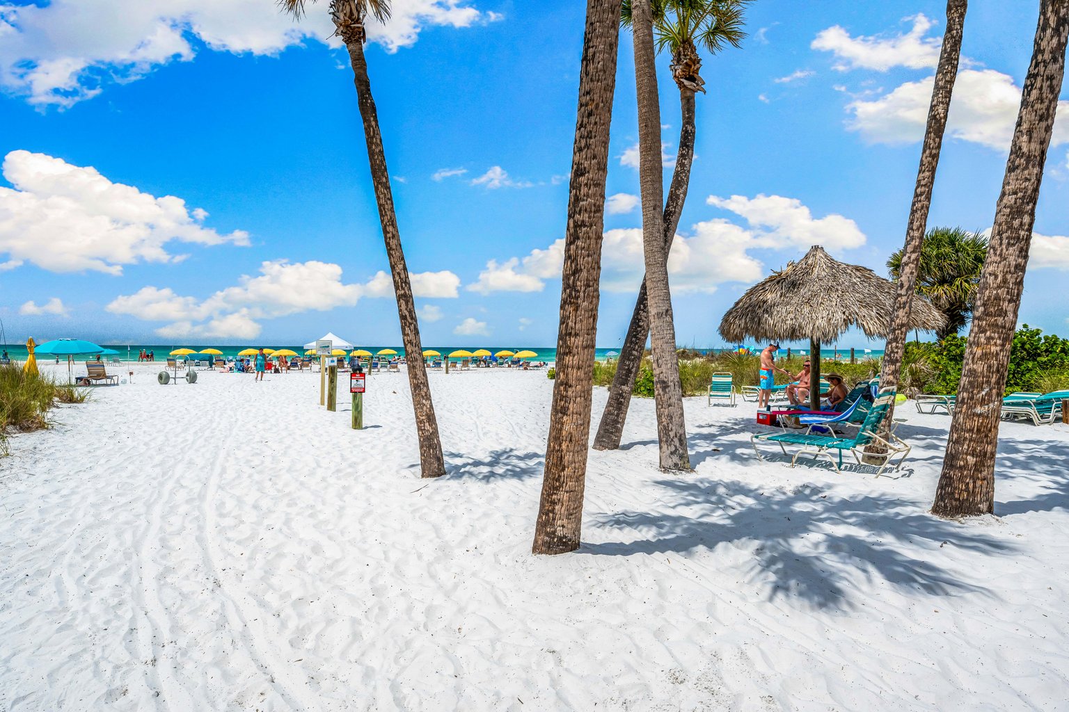 Siesta Key Vacation Rental