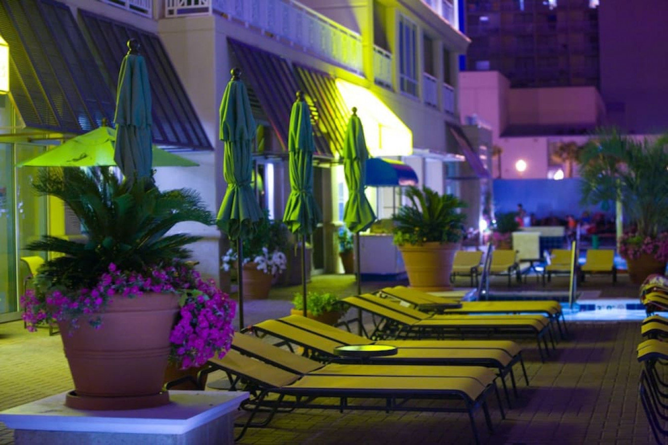 Virginia Beach Vacation Rental