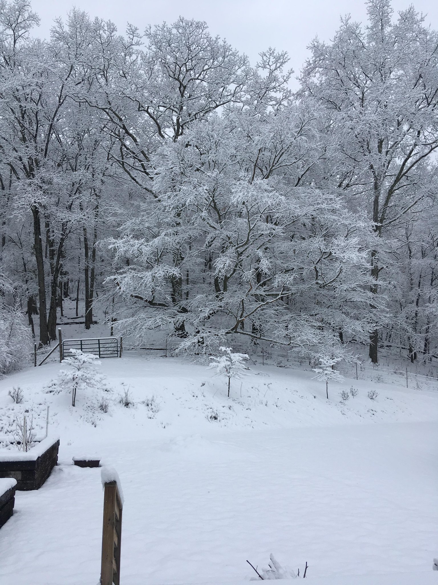 Lansing Vacation Rental