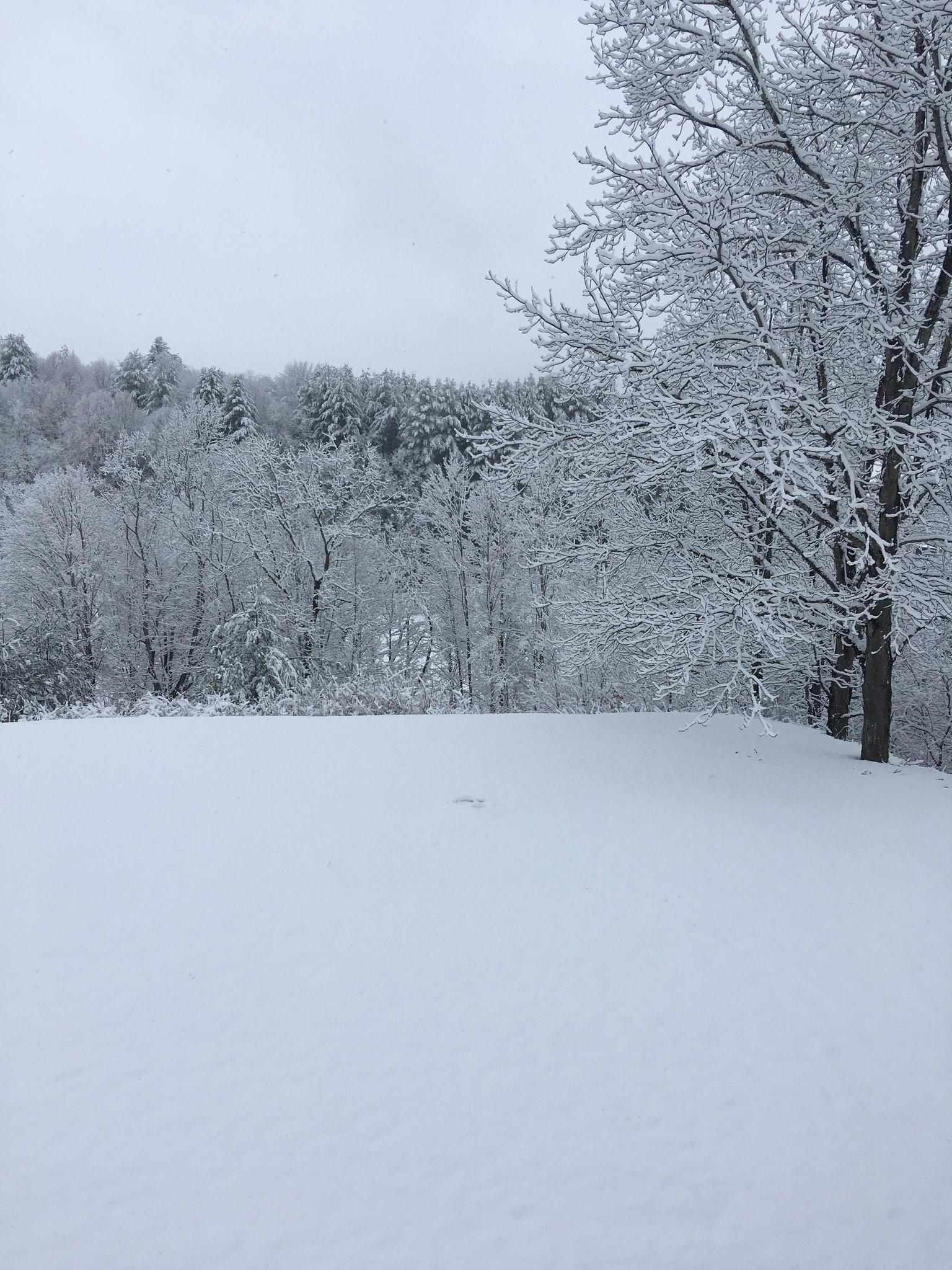 Lansing Vacation Rental