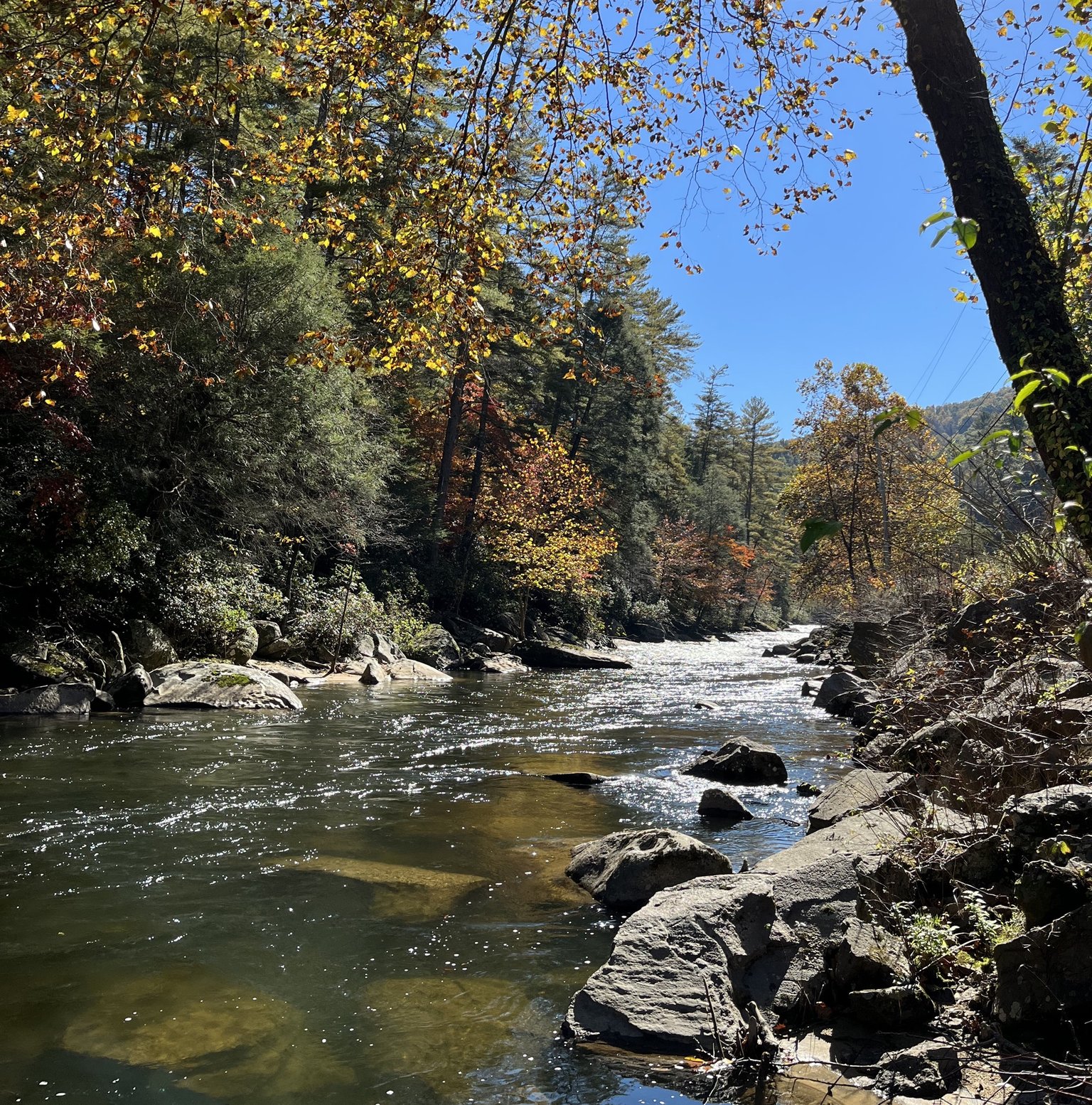 Blue Ridge Vacation Rental