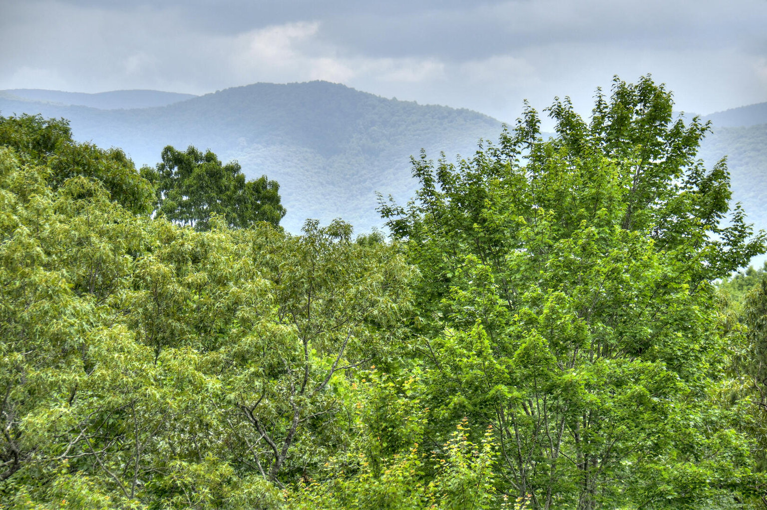 Ellijay Vacation Rental
