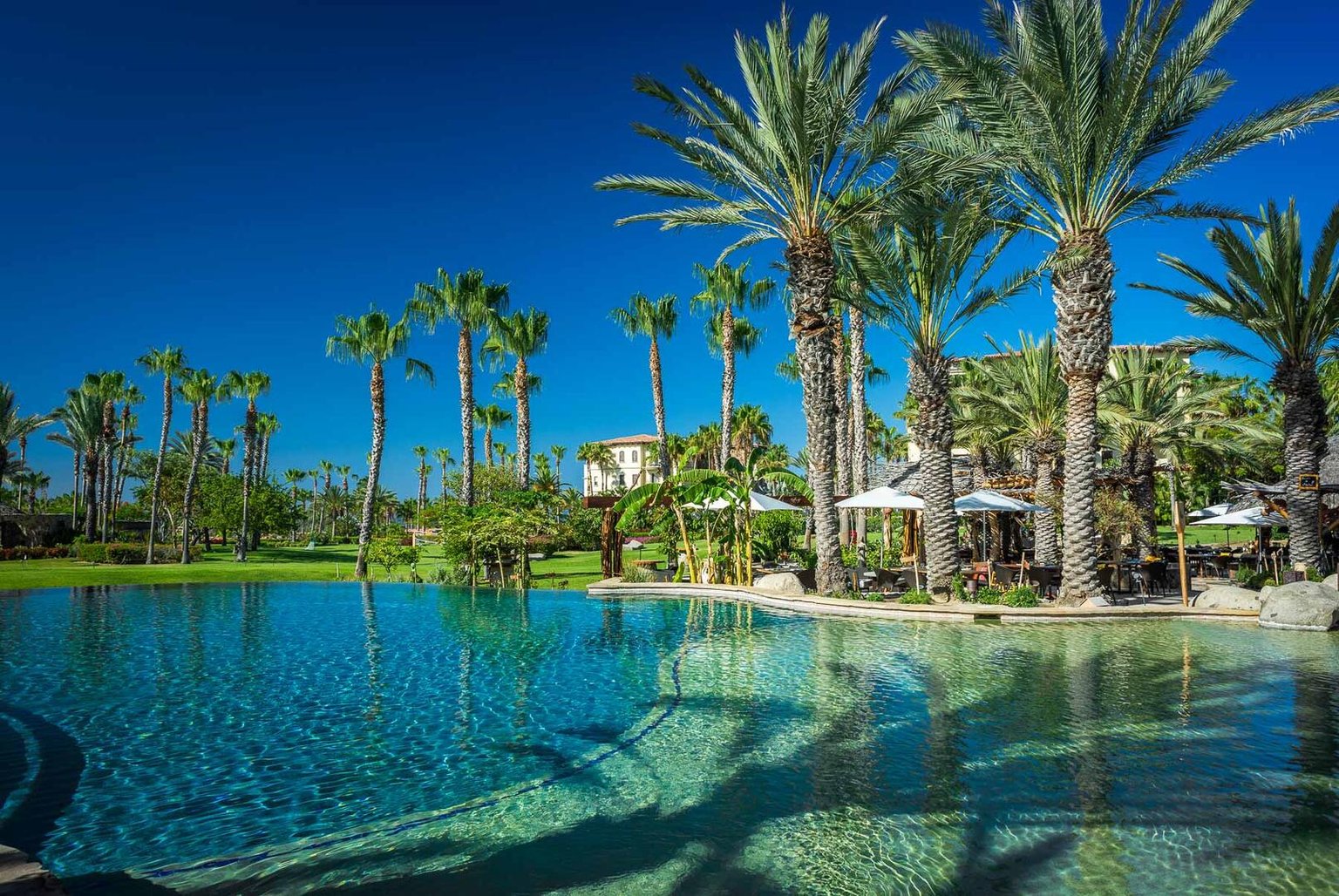 Cabo San Lucas Vacation Rental