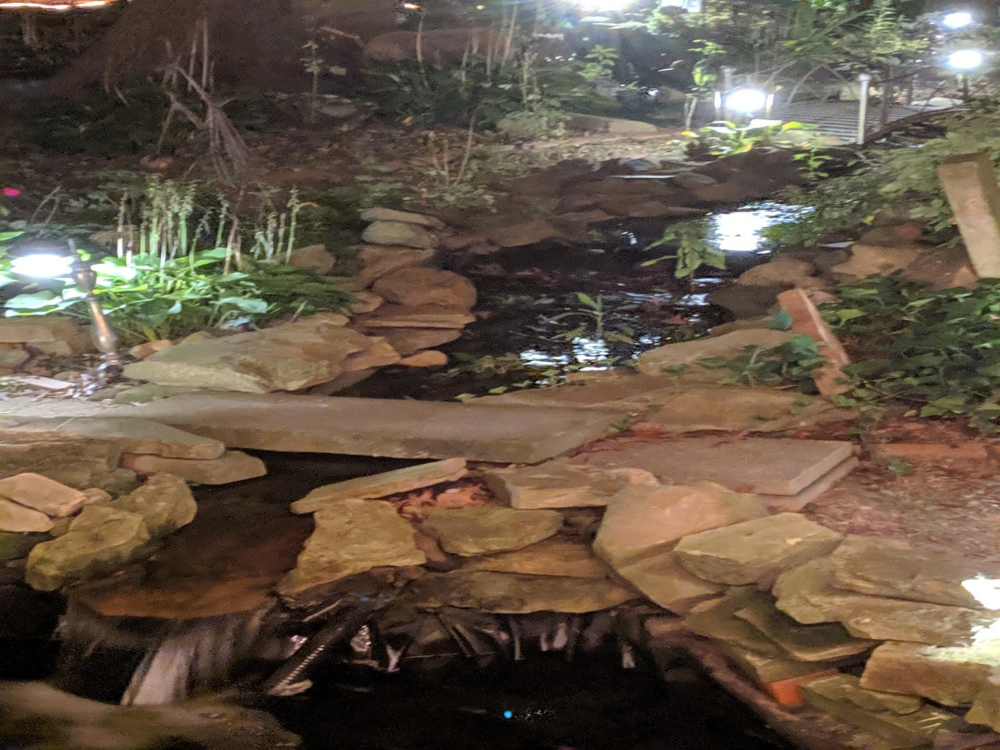 Oberlin Vacation Rental