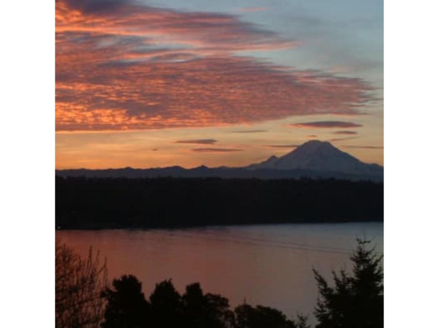 Lake Forest Park Vacation Rental