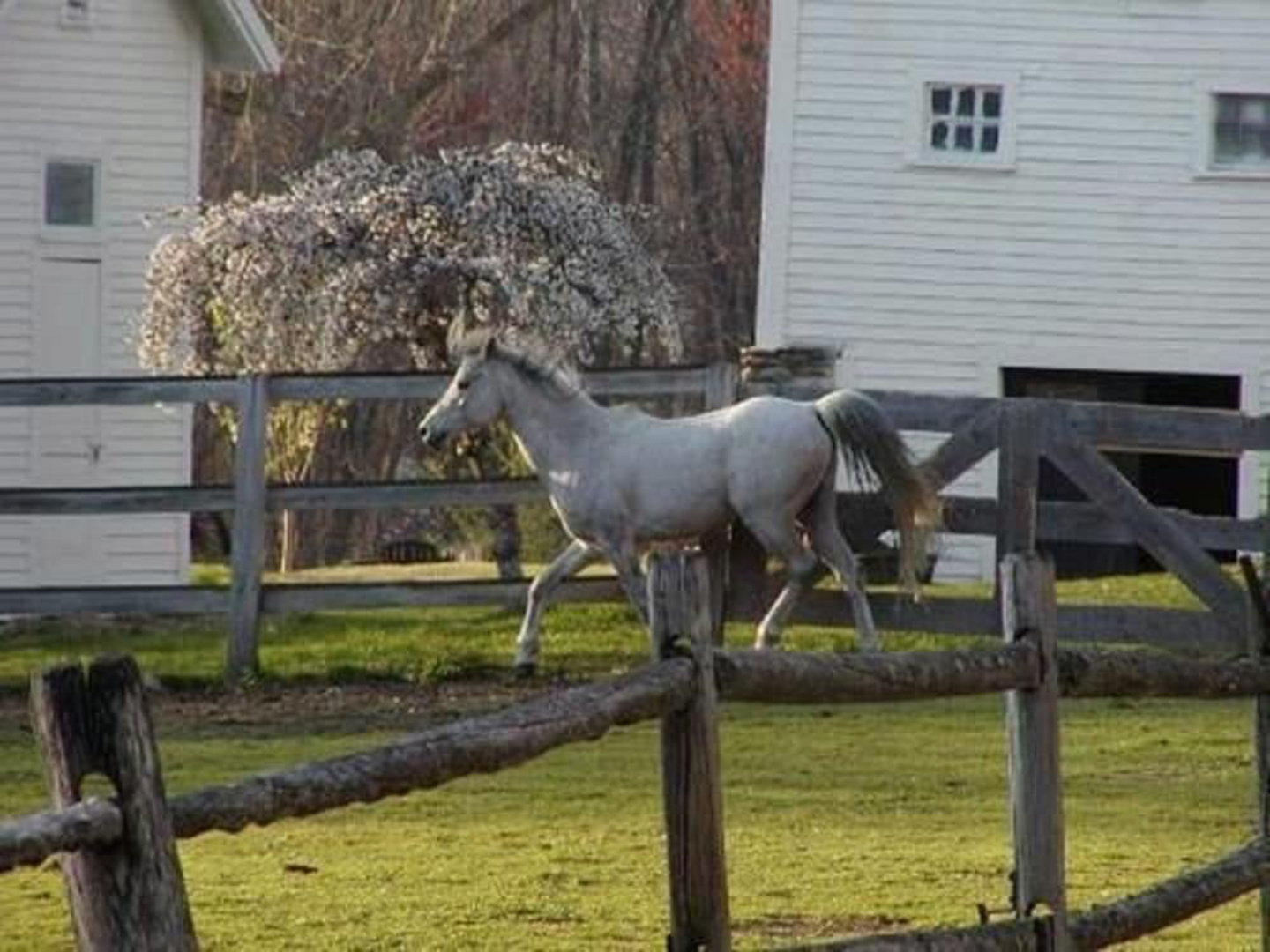 Sudbury Vacation Rental
