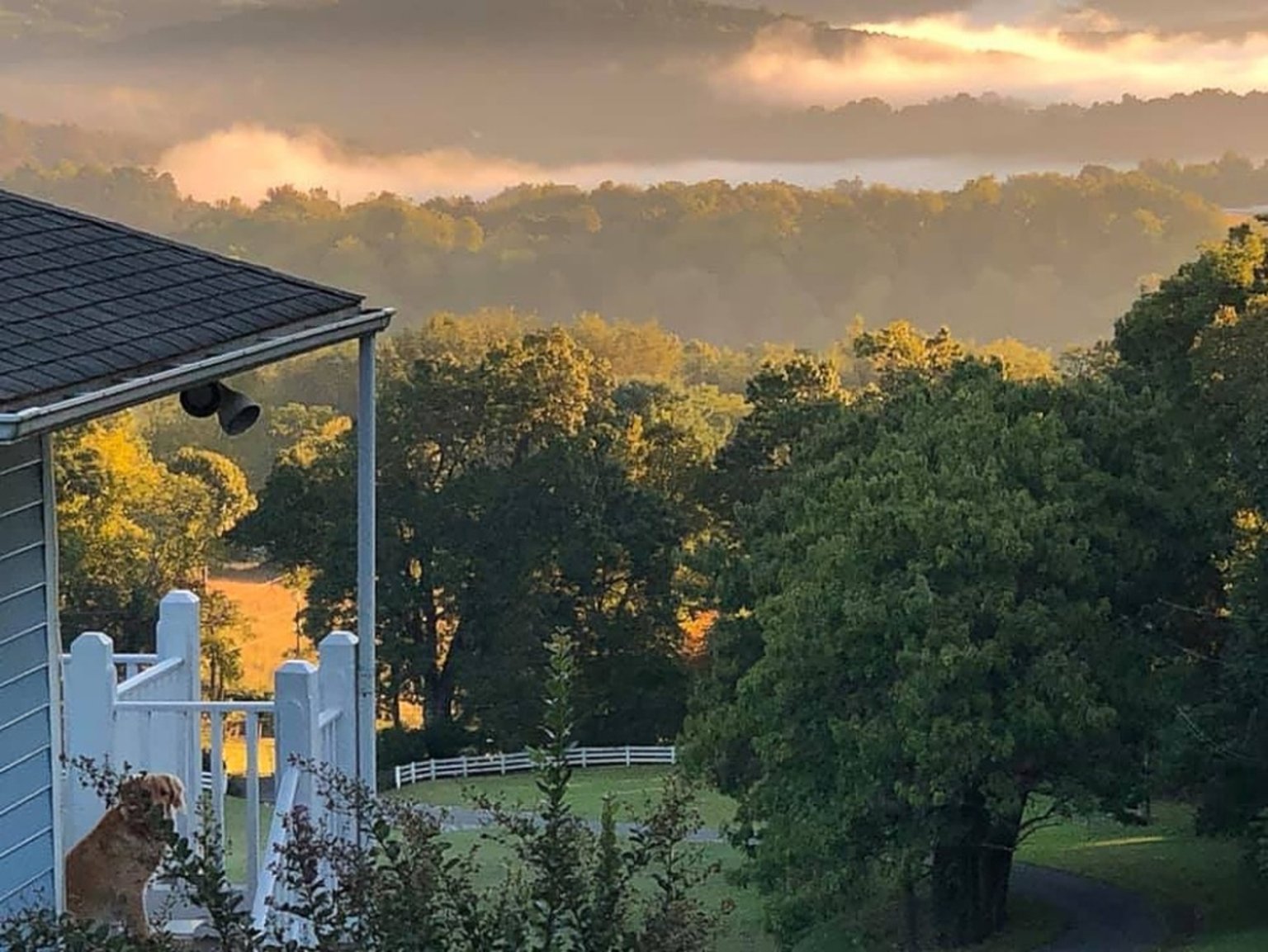 Lexington Vacation Rental