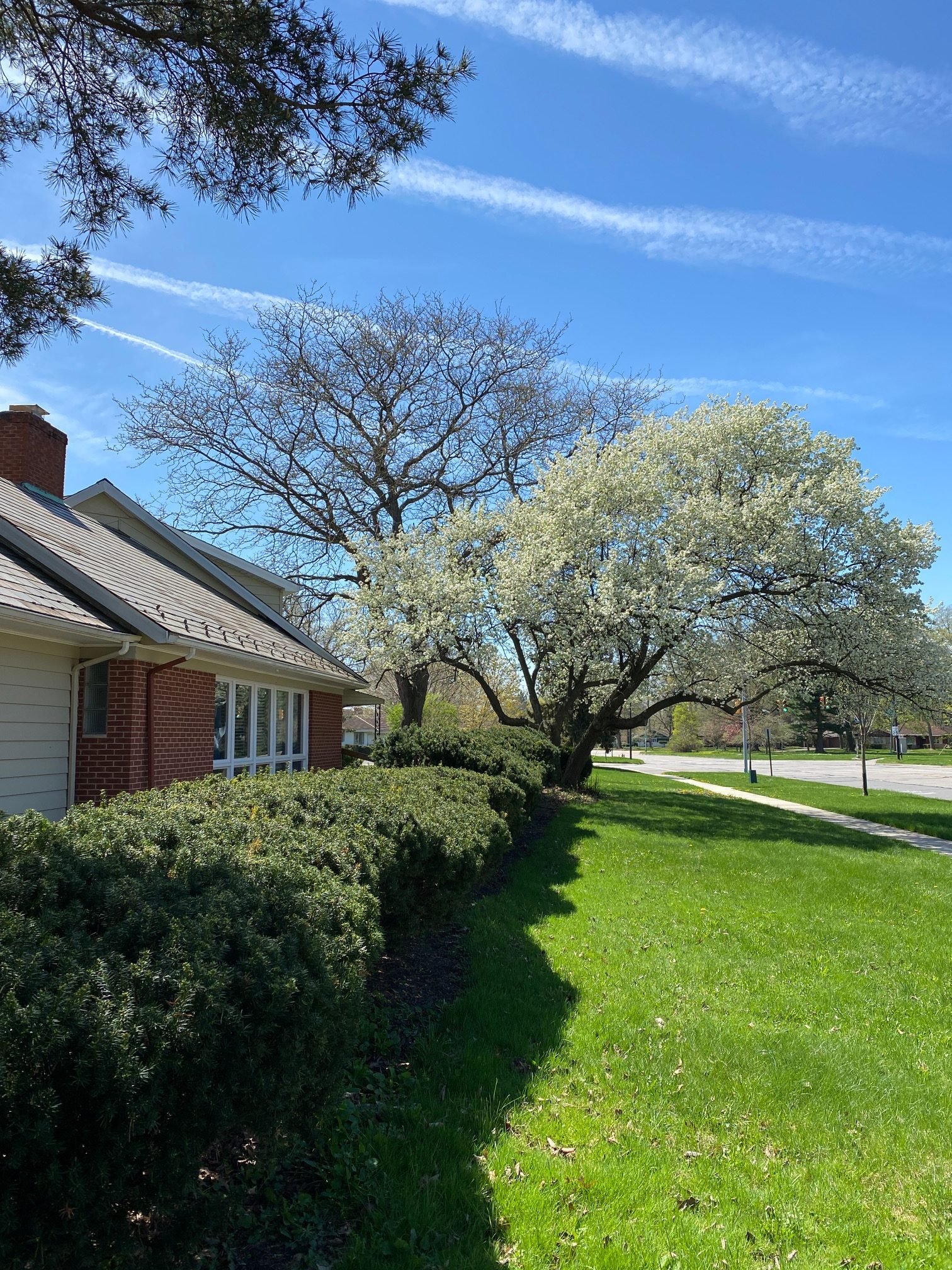 Cleveland Heights Vacation Rental