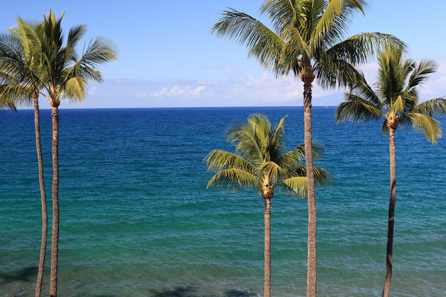 Kihei, Maui Vacation Rental