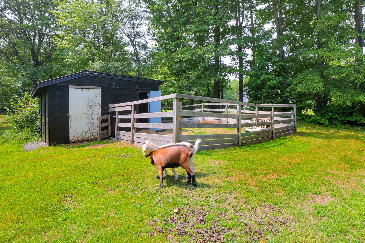Chester Vacation Rental