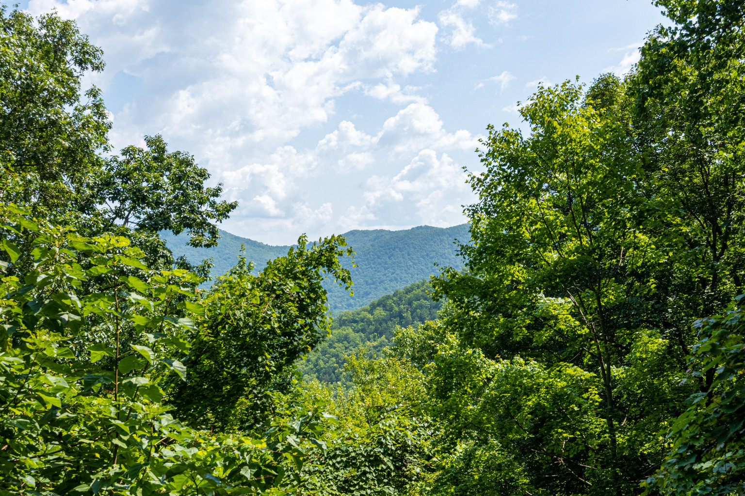 PIGEON FORGE Vacation Rental