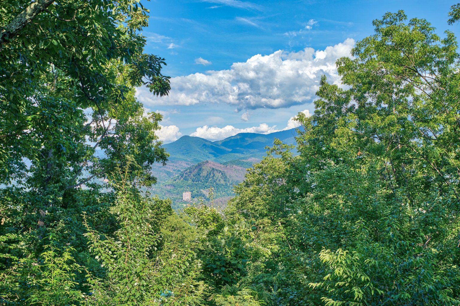 GATLINBURG Vacation Rental