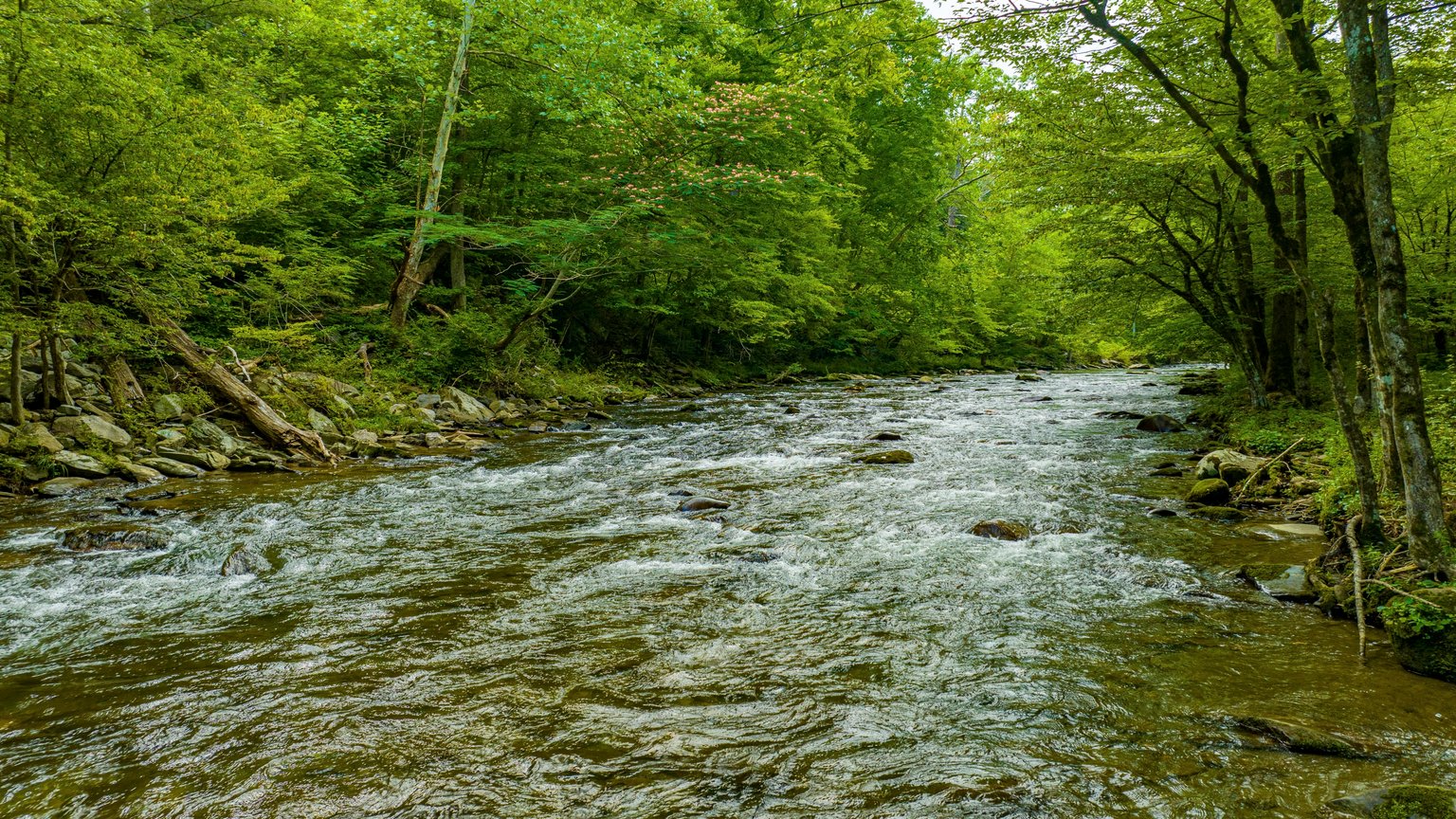 GATLINBURG Vacation Rental