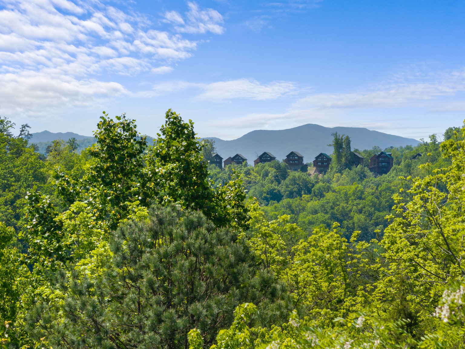 PIGEON FORGE Vacation Rental