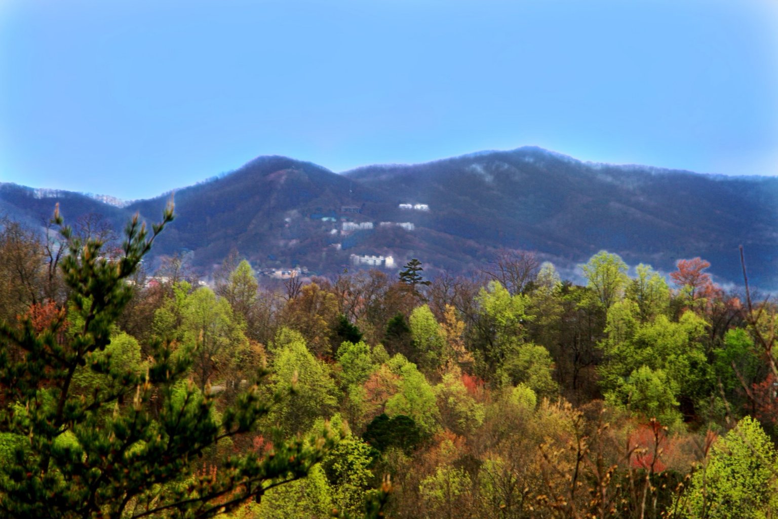 GATLINBURG Vacation Rental
