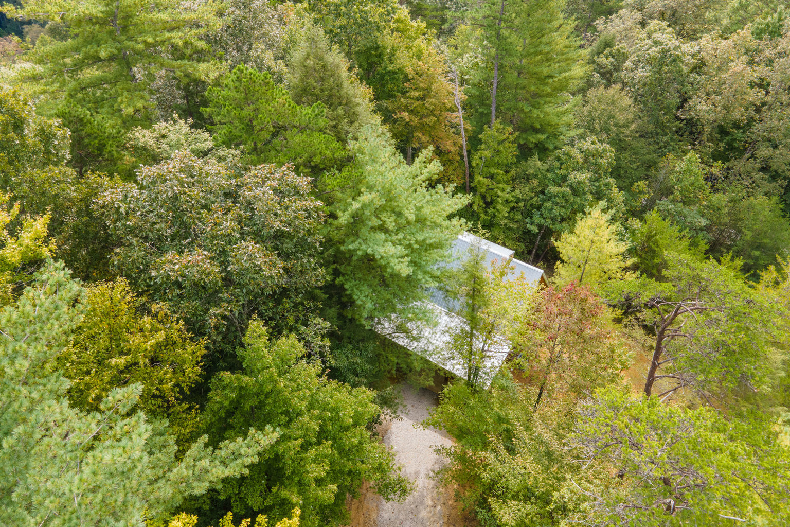 Pine Ridge Vacation Rental