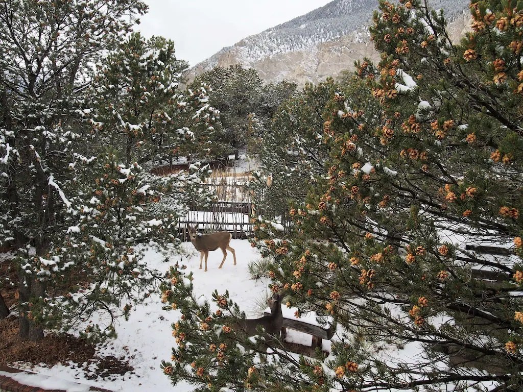 Nathrop Vacation Rental