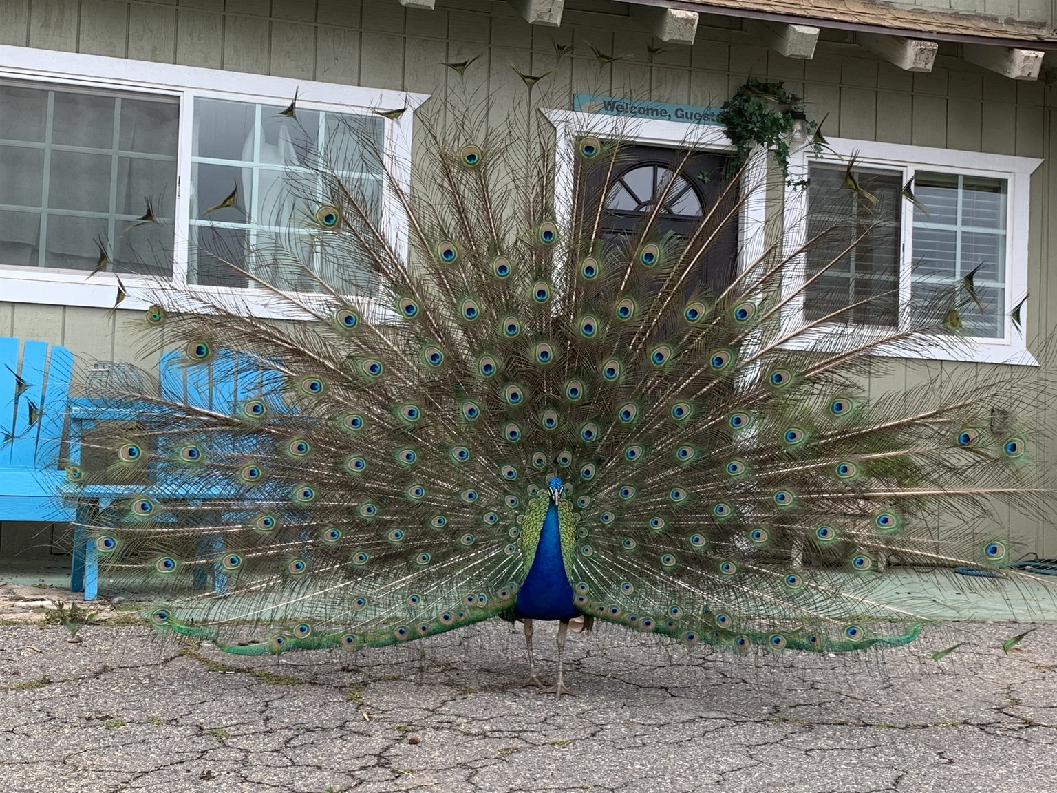 Fallbrook Vacation Rental