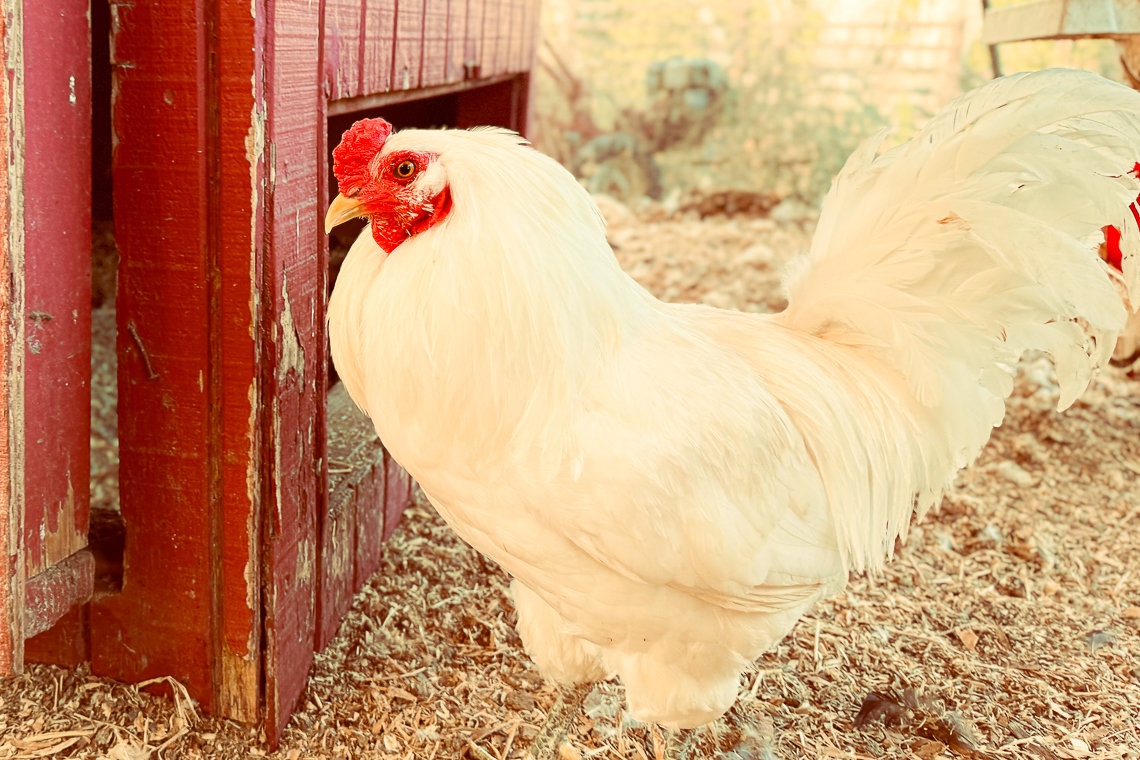 Fallbrook Vacation Rental