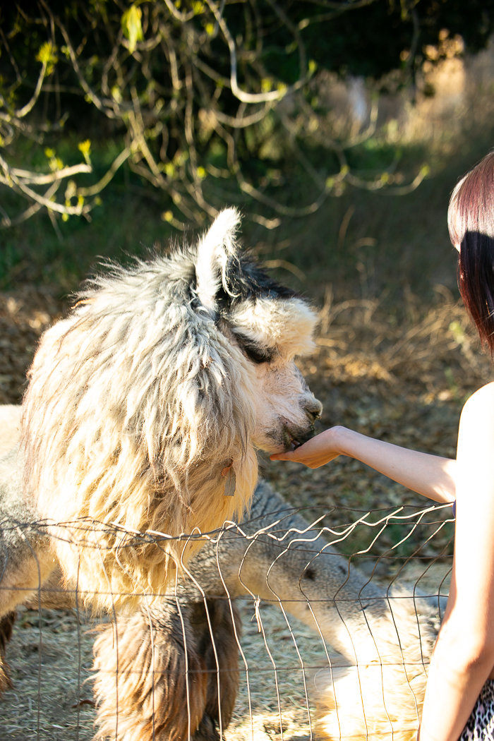 Fallbrook Vacation Rental