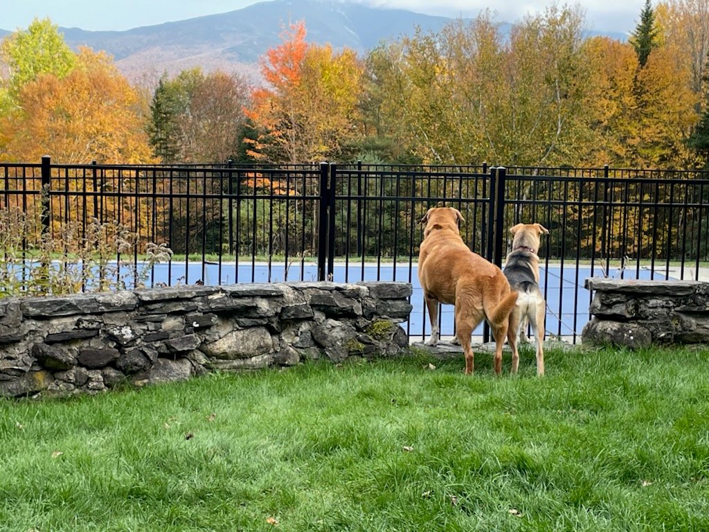 Franconia Vacation Rental