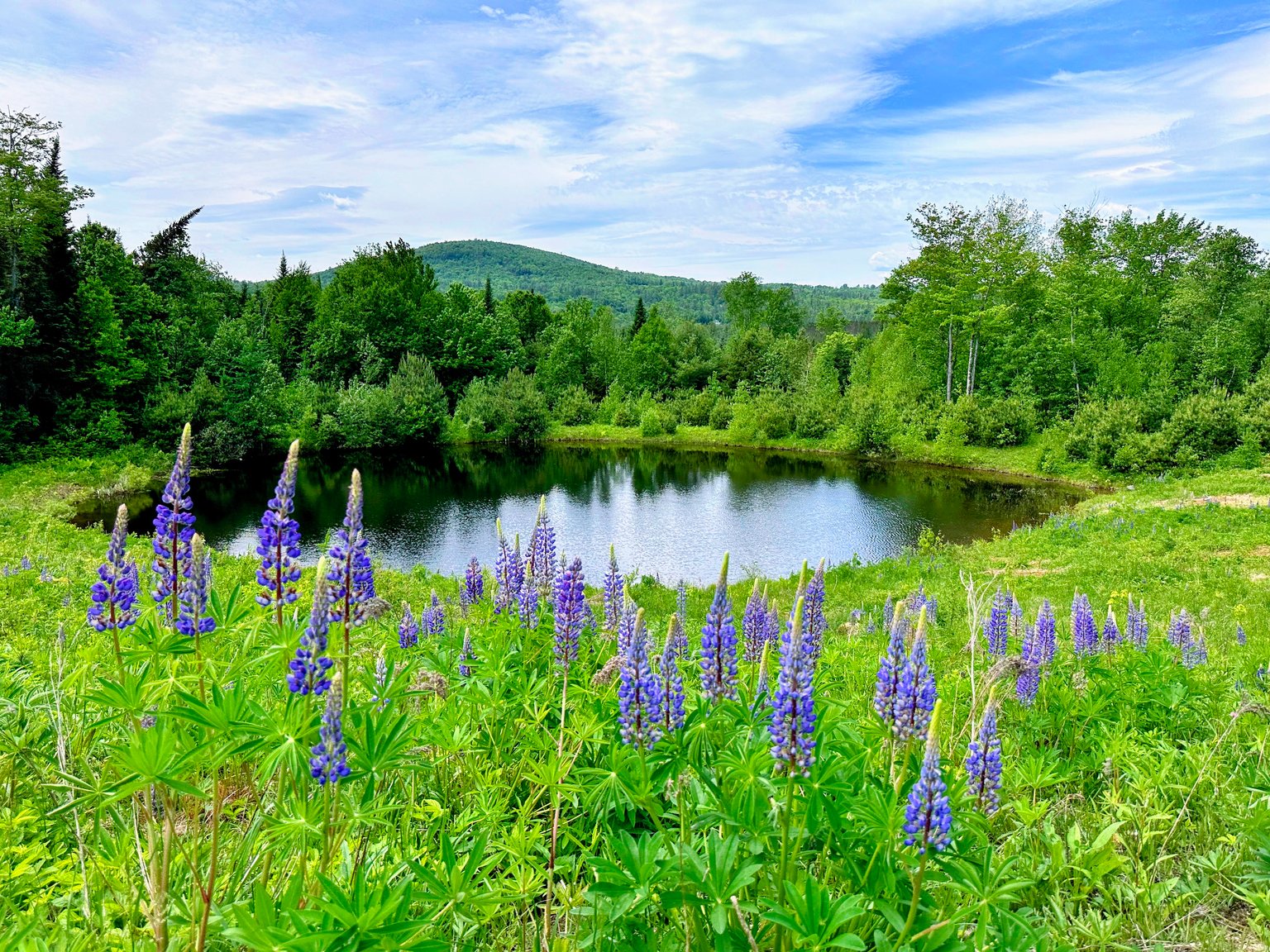 Franconia Vacation Rental