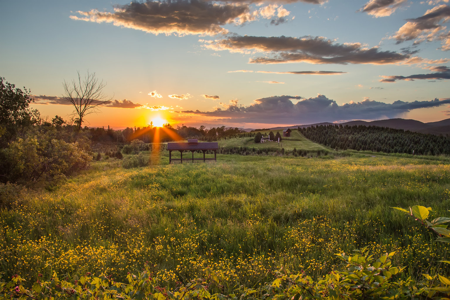 Bethlehem Vacation Rental