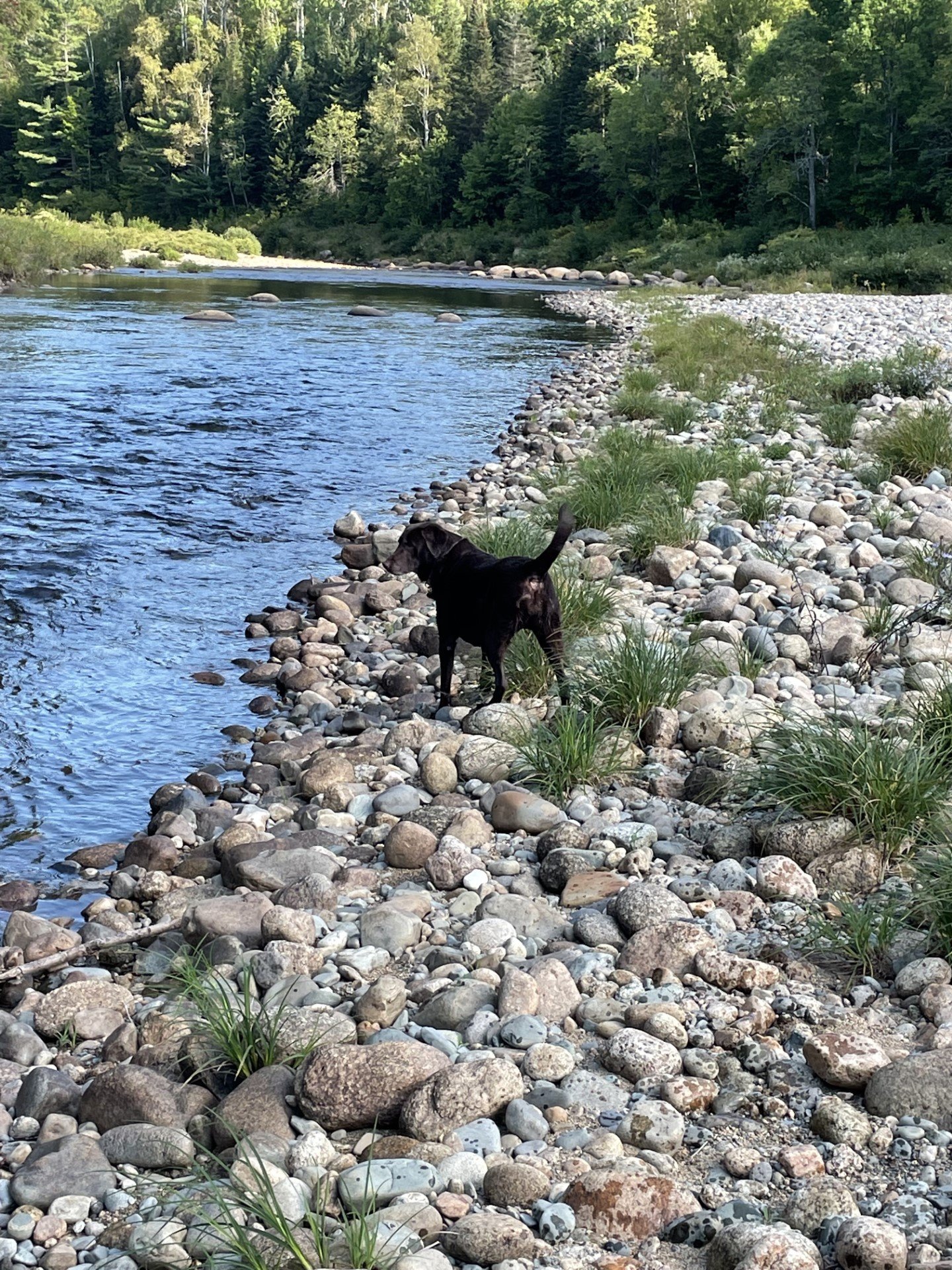 Bethlehem Vacation Rental