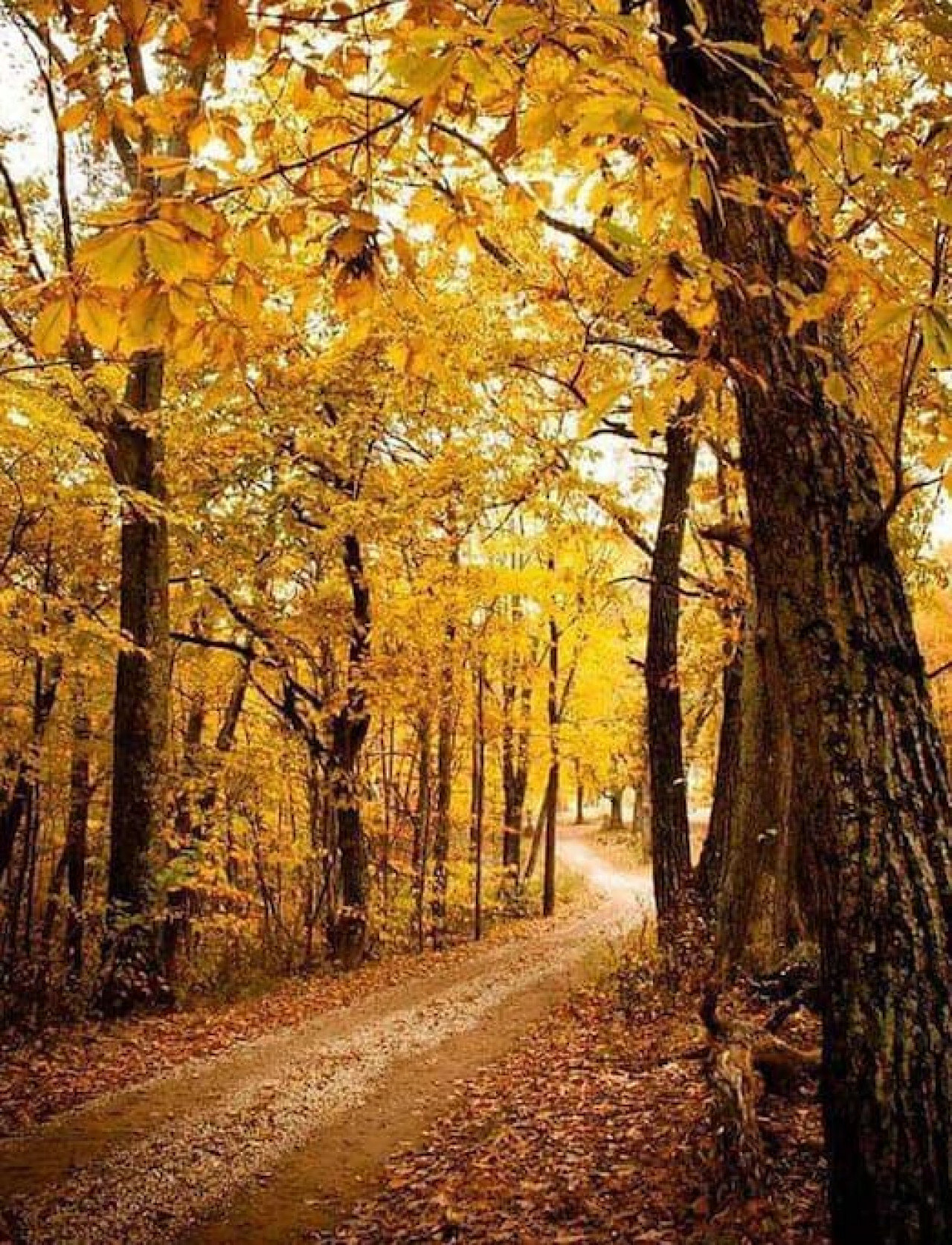 Lancaster Vacation Rental