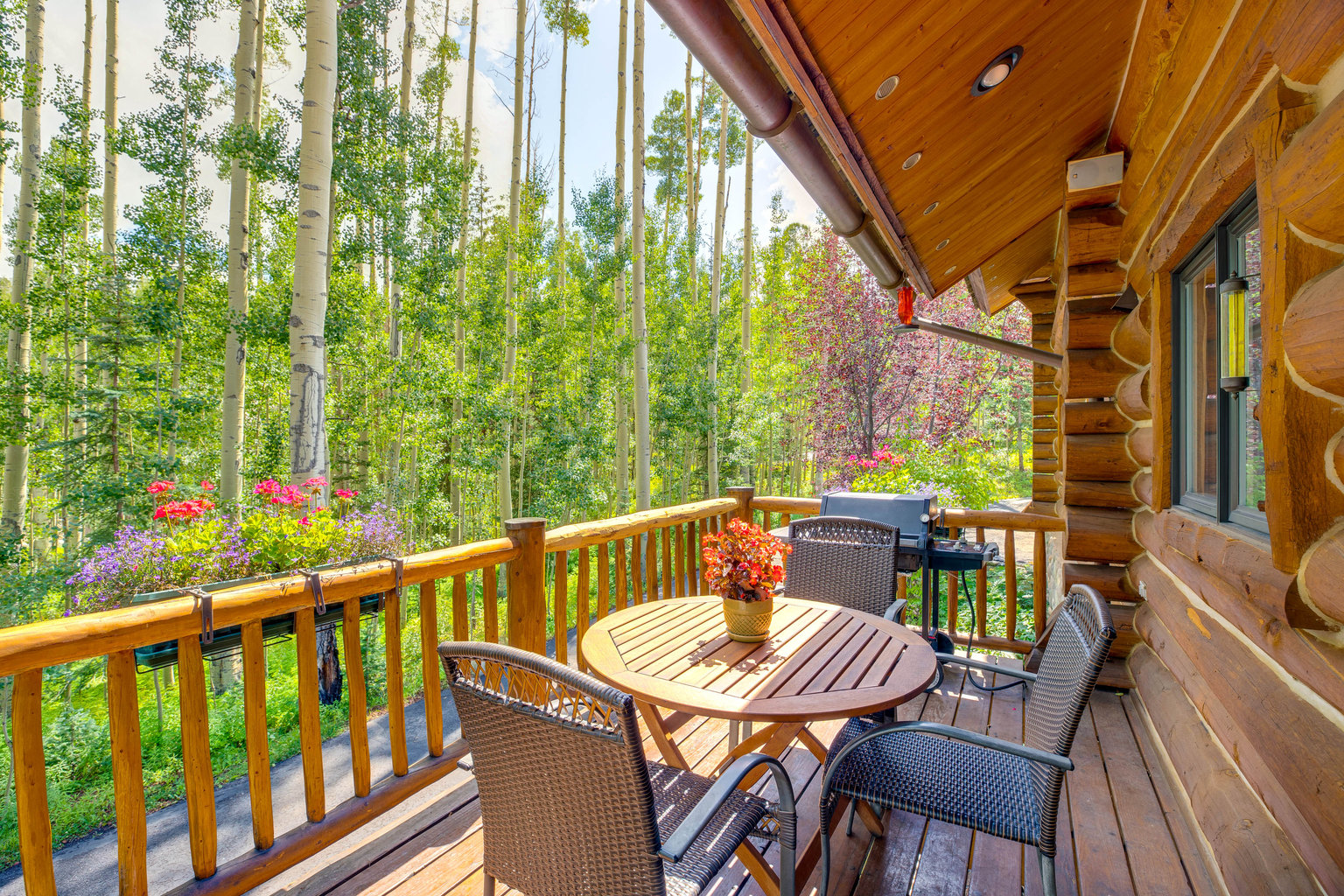 Mountain Village Vacation Rental