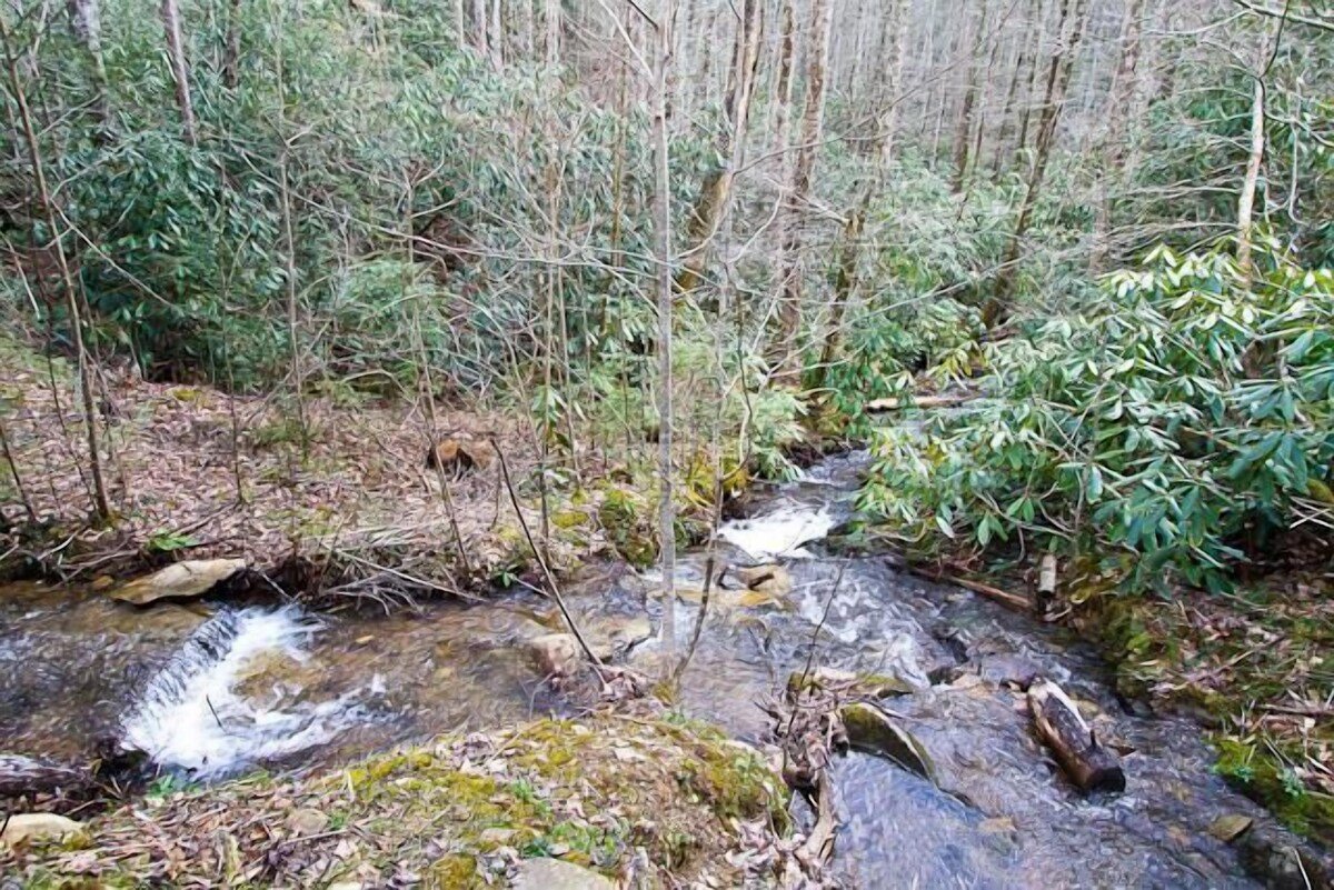 Gatlinburg Vacation Rental