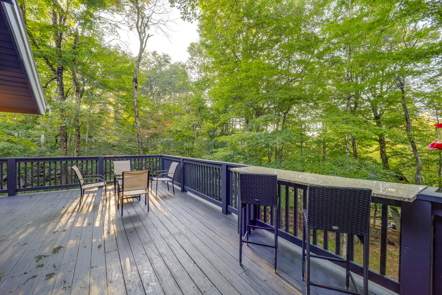 Beech Mountain Vacation Rental