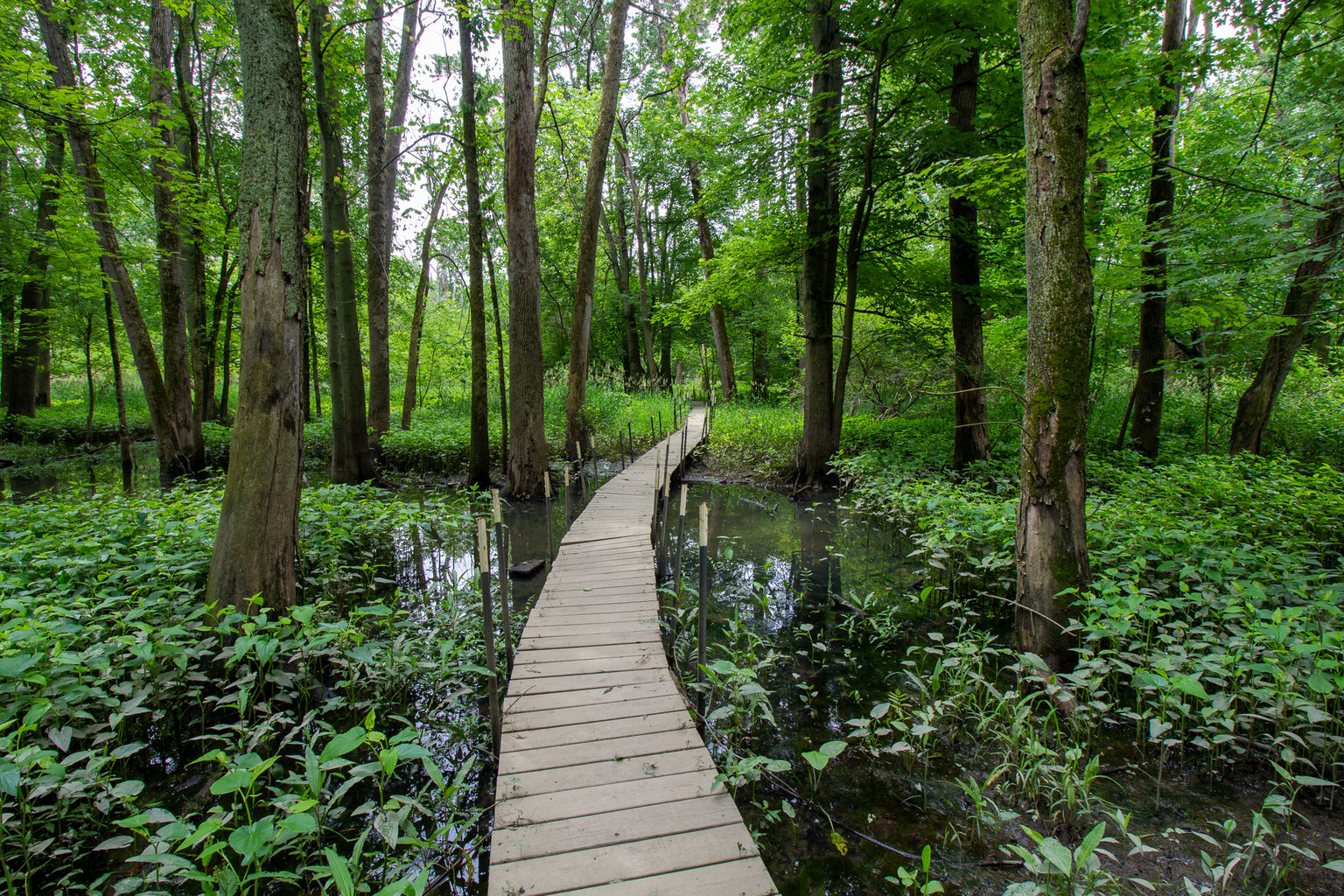 Porter Vacation Rental