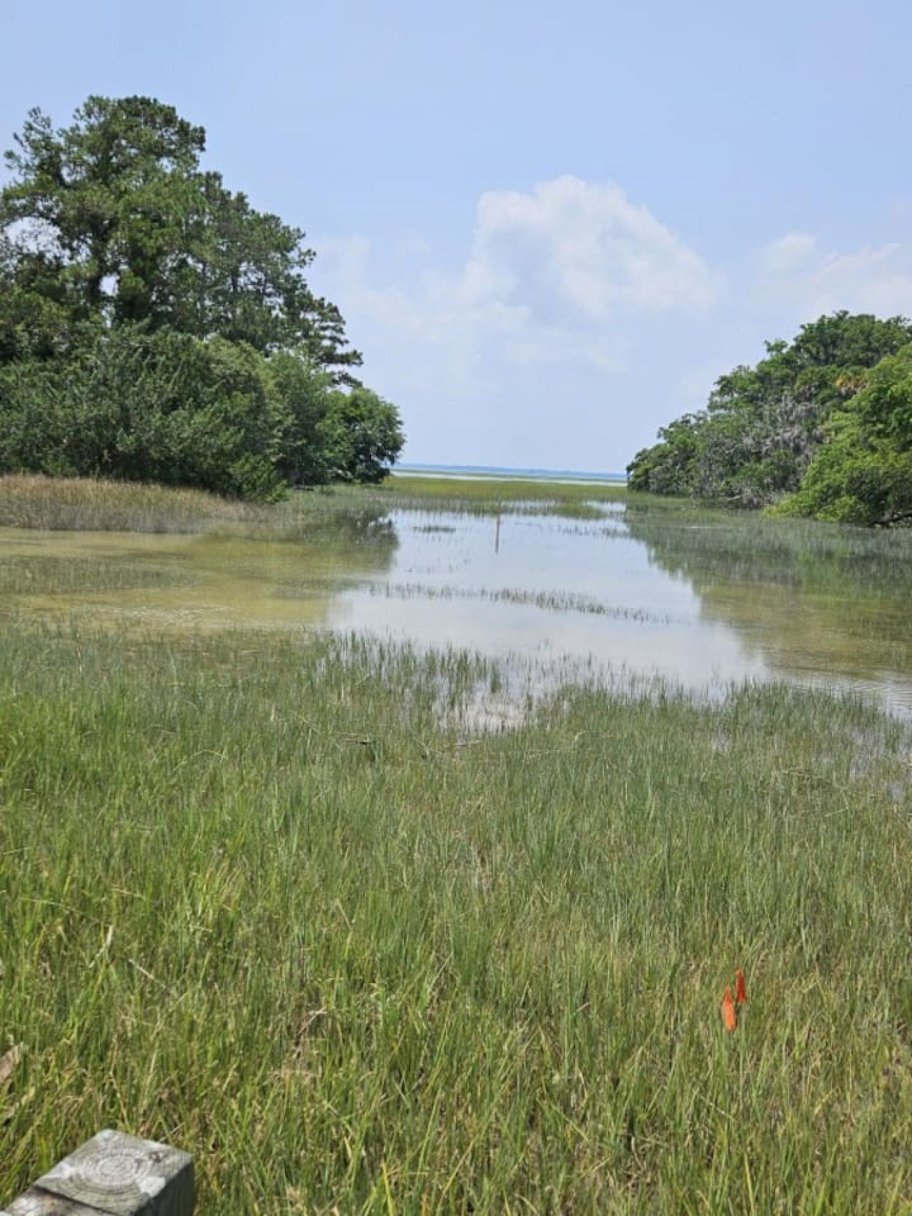 Beaufort Vacation Rental
