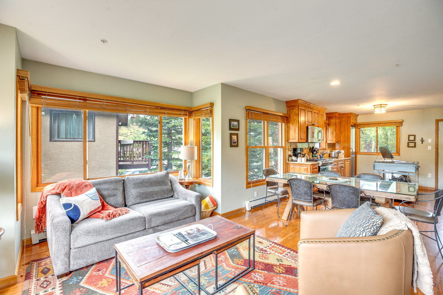Mountain Village Vacation Rental