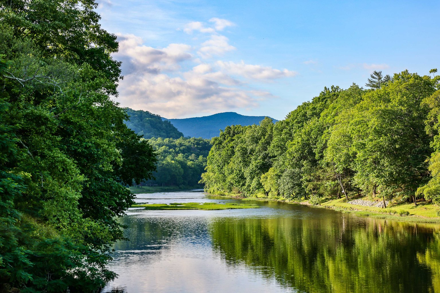 Hillsboro Vacation Rental