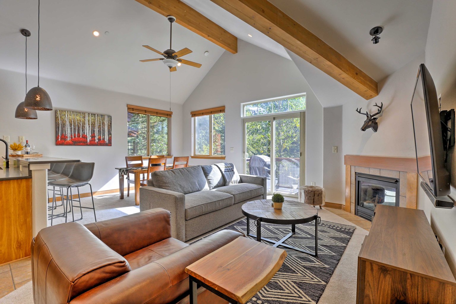 Silverthorne Vacation Rental