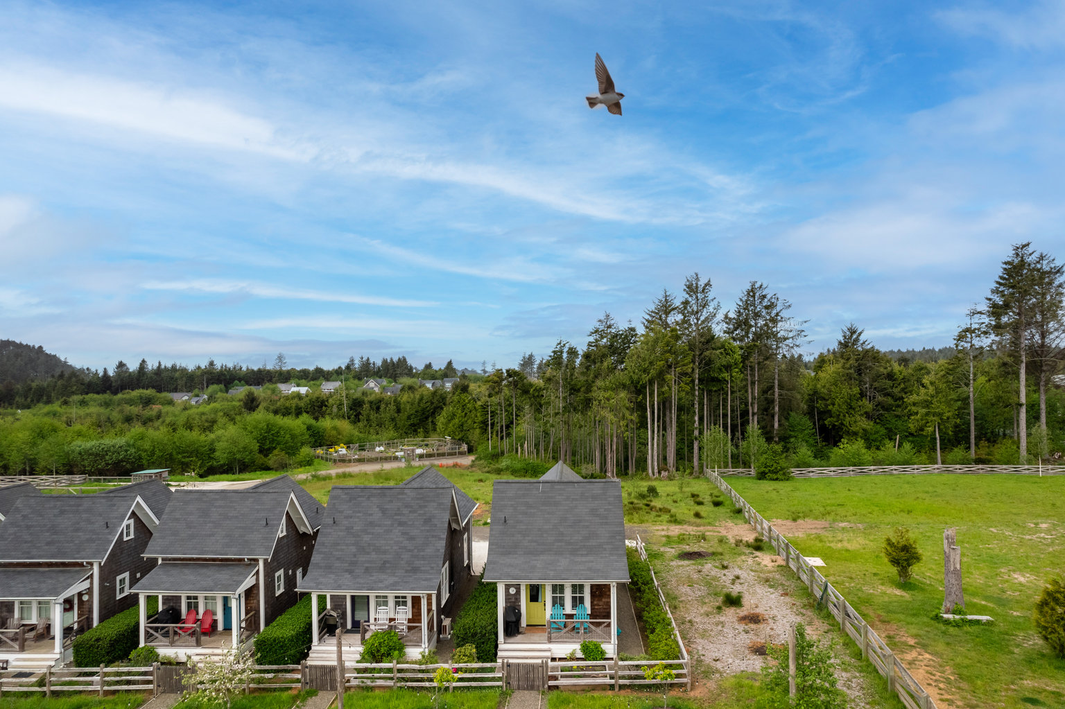 Pacific Beach Vacation Rental