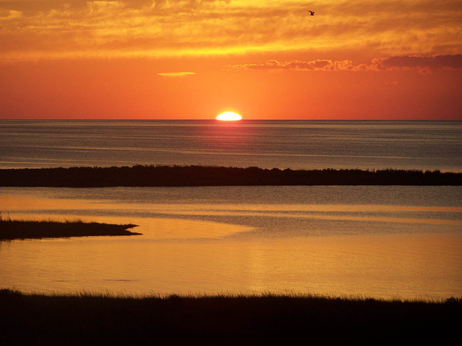 Waves Vacation Rental