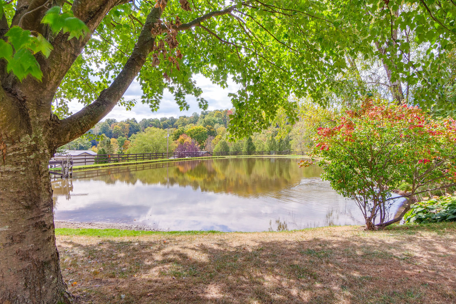 Dundee Vacation Rental