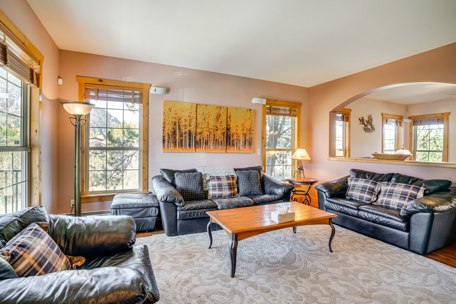 Frisco Vacation Rental