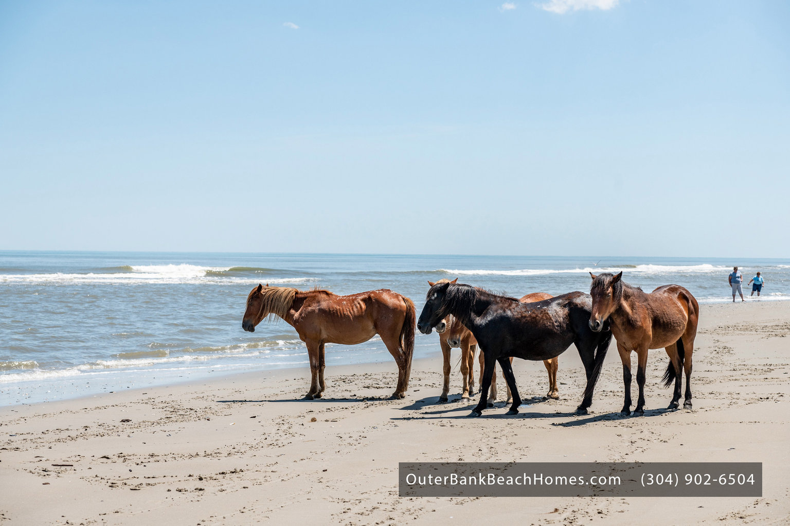 Corolla Vacation Rental