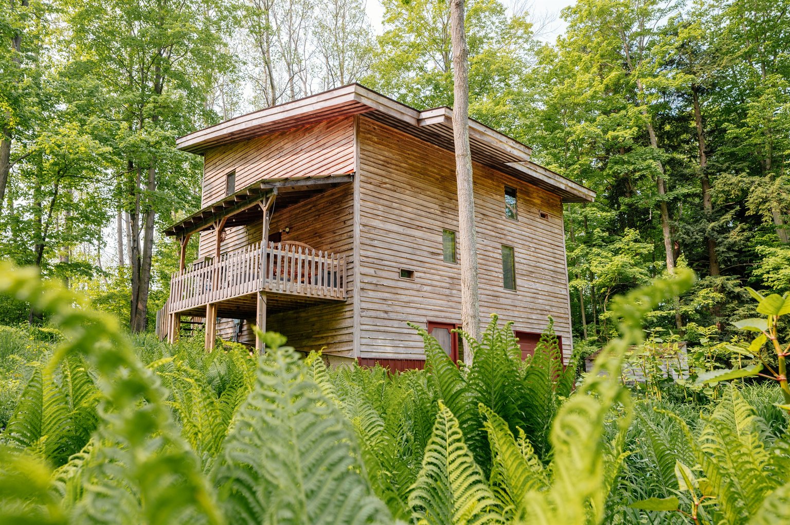 Cedar Vacation Rental