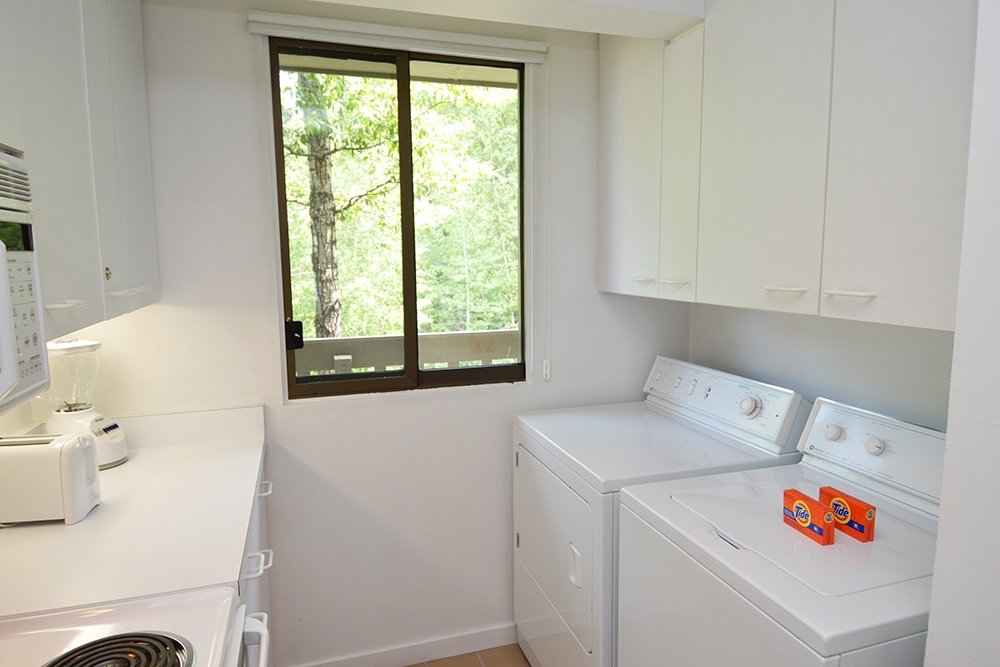 Aspen Vacation Rental