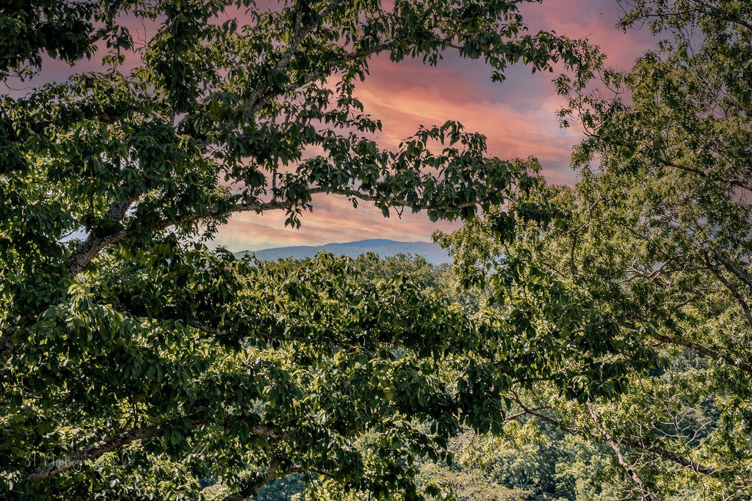 Sevierville Vacation Rental